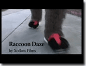 "Raccoon Daze" Film - Small